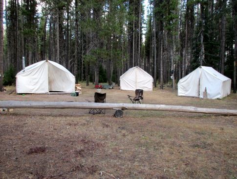A group of tents are set up in the middle of a forest