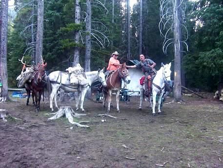 A group of people riding horses in a field.