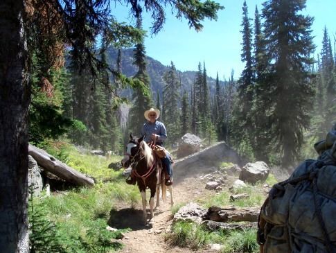 A man riding a horse on a trail in the woods