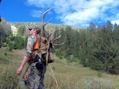 A man is carrying a large deer antlers in a field.
