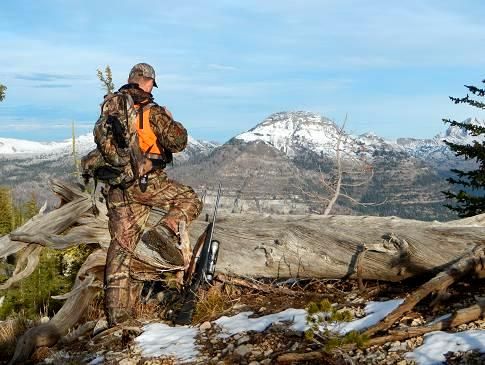 A man in camouflage is standing next to a large log with mountains in the background.