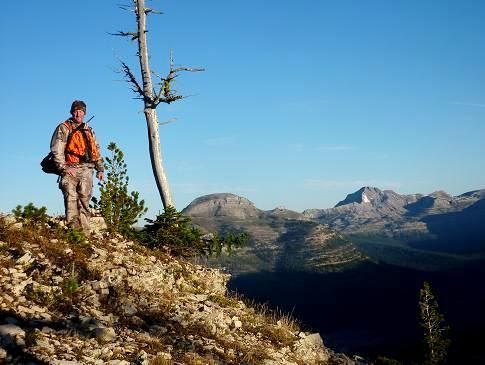 A man is standing on top of a mountain next to a tree.