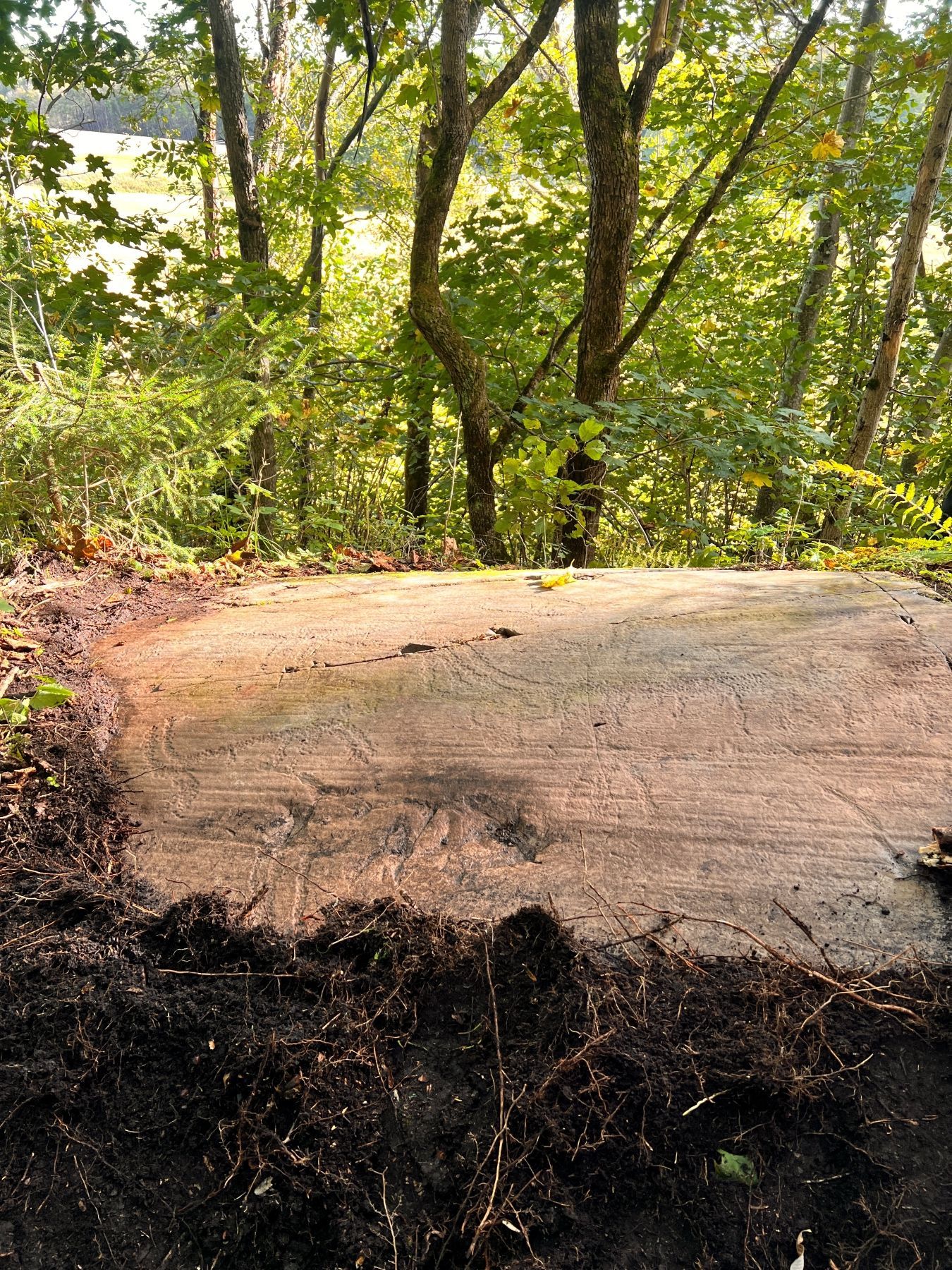 Et kanskje tre tusen år gammelt langskip hugget i stein, var det en helleristiningsjeger fra Østfold