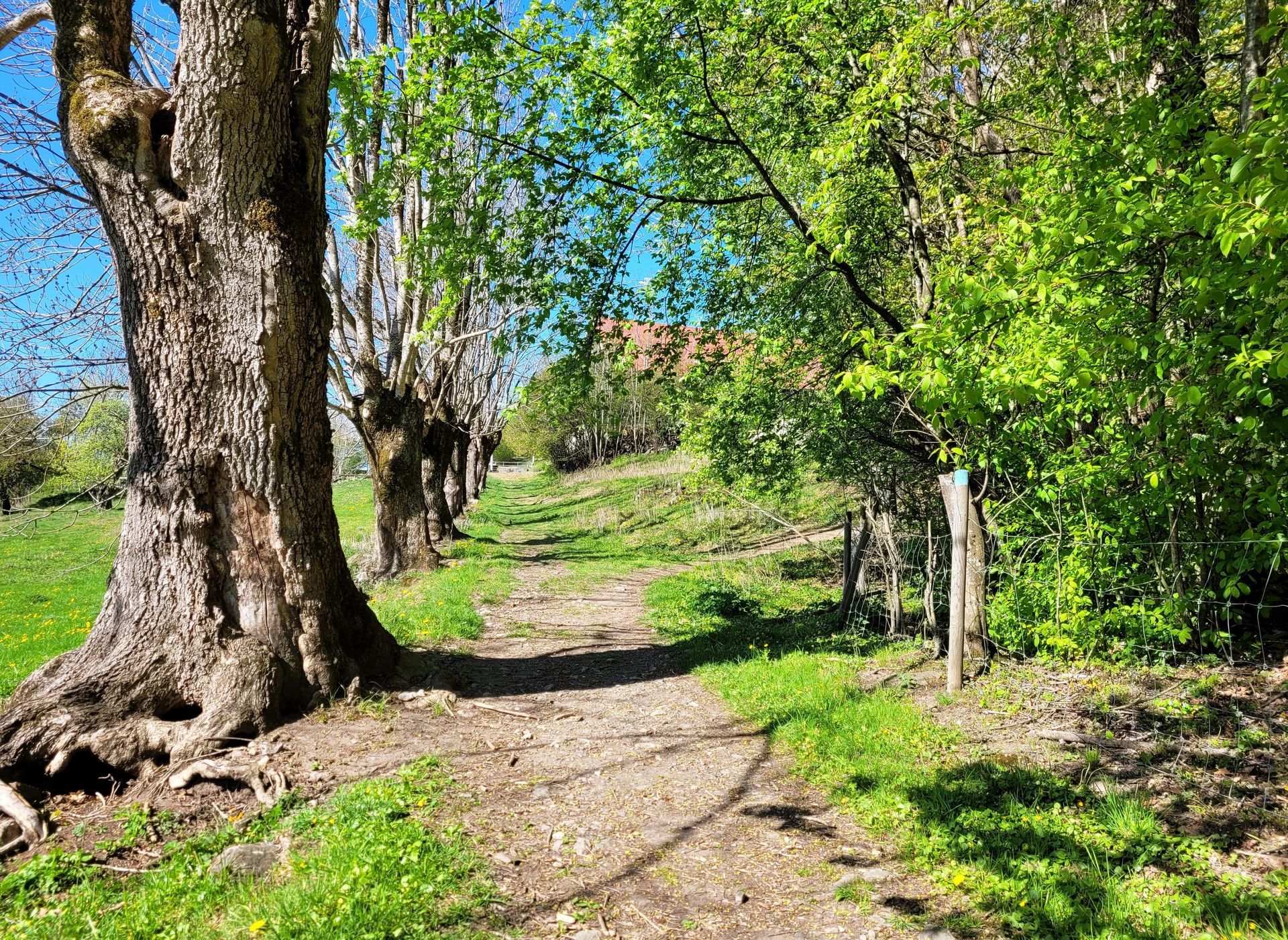 Nede på Syverstadstranda lå en av Askerlandets mange saltbuer. Saltet herfra ble slept opp den gamle oldtidsveien forbi Syverstad gård.