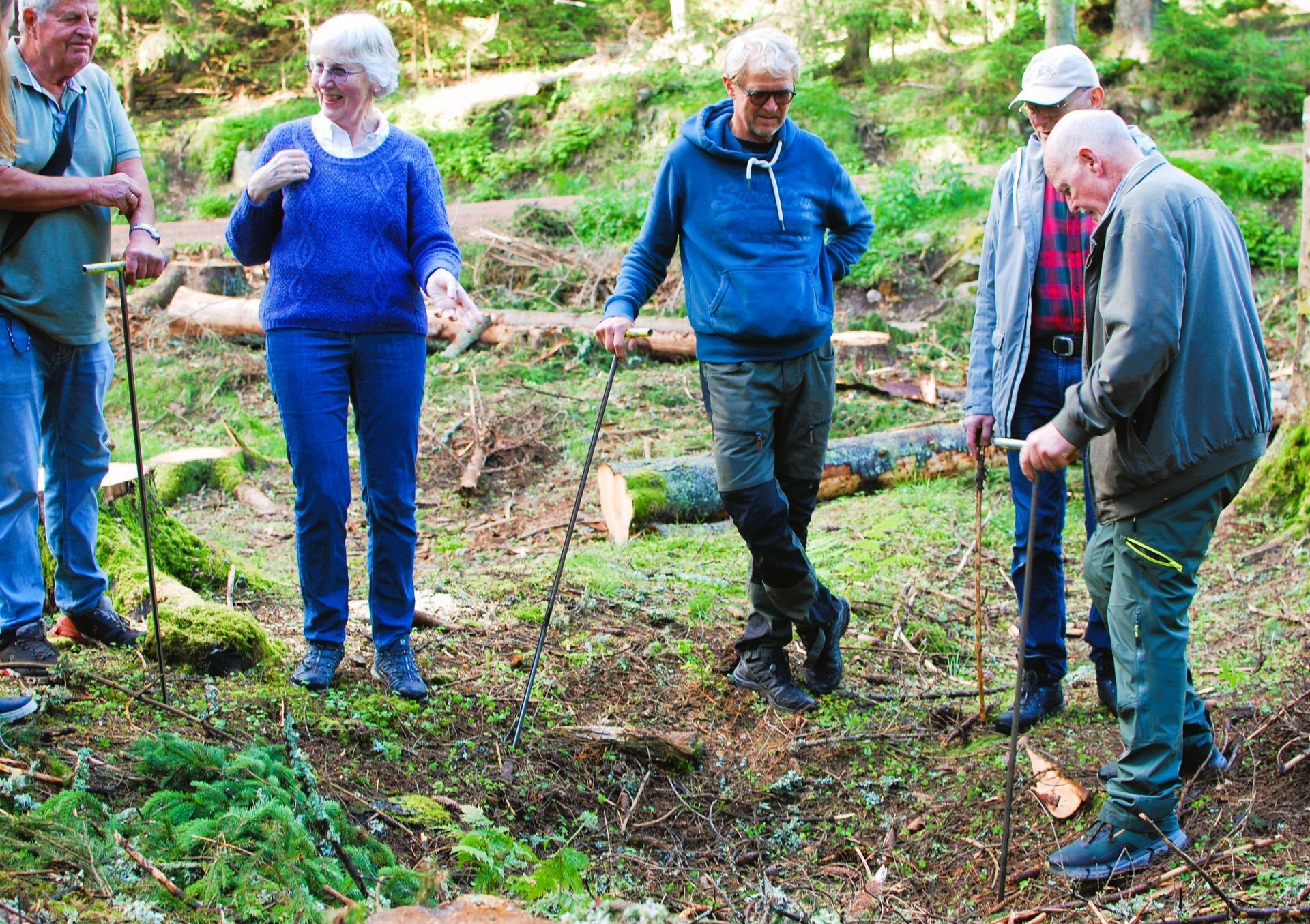 Med stor sannsynlighet har vi funnet en kølabonn. Historielagsmedlem Svein Holo gjør et prøvestikk av kullaget under overflaten.