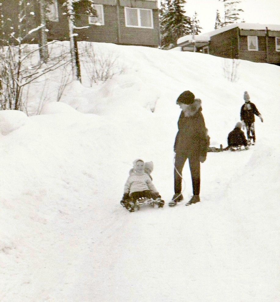 Tokkeveien på Dønski var på 60-tallet et boligområde for ansatte i NVE og deres familier, men etter 