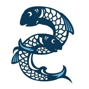 Two blue fish are swimming in a circle on a white background.