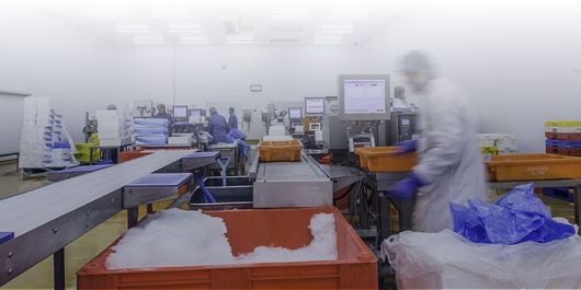 A man in a white coat is working in a seafood processing factory.