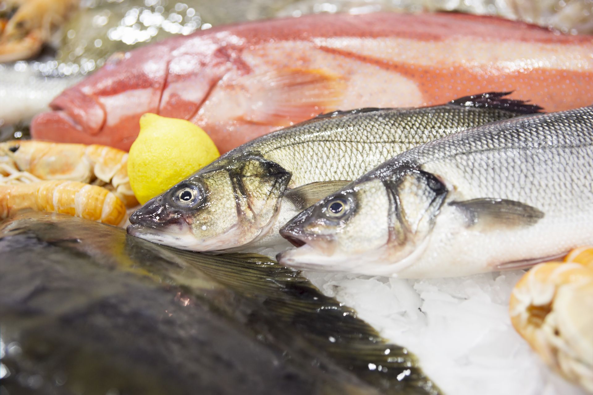 A group of fish sitting on top of ice next to a lemon.
