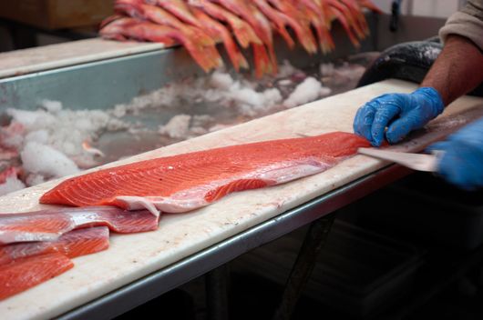 A person is cutting a piece of salmon on a cutting board. Fish Processing