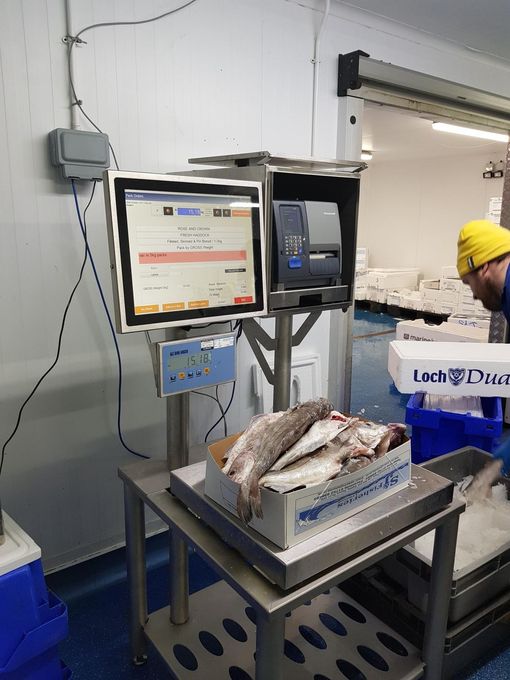 A man in a yellow hat is working in a fish factory. Aquarius ng improving efficiency Seafood Systems ACSS UK