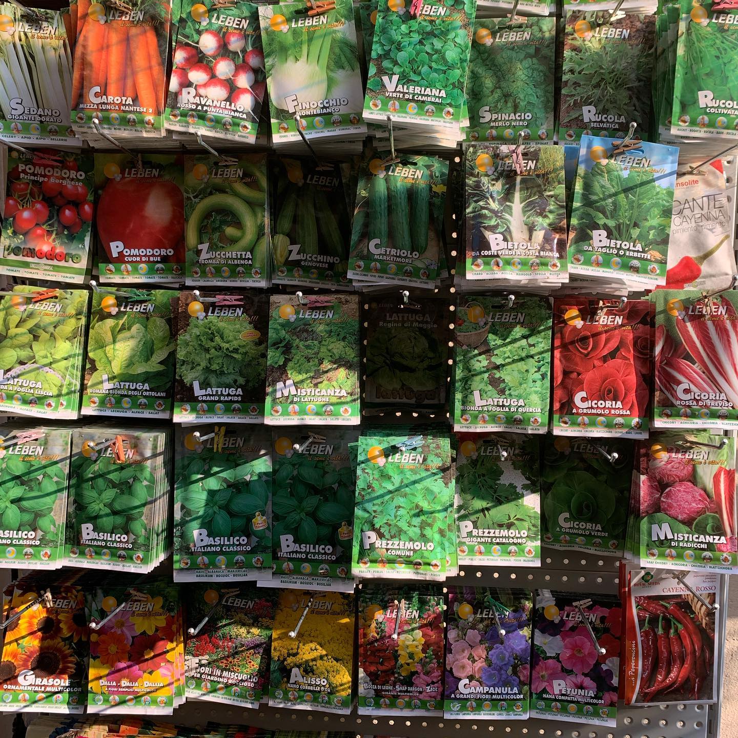 vendita sementi e bulbi