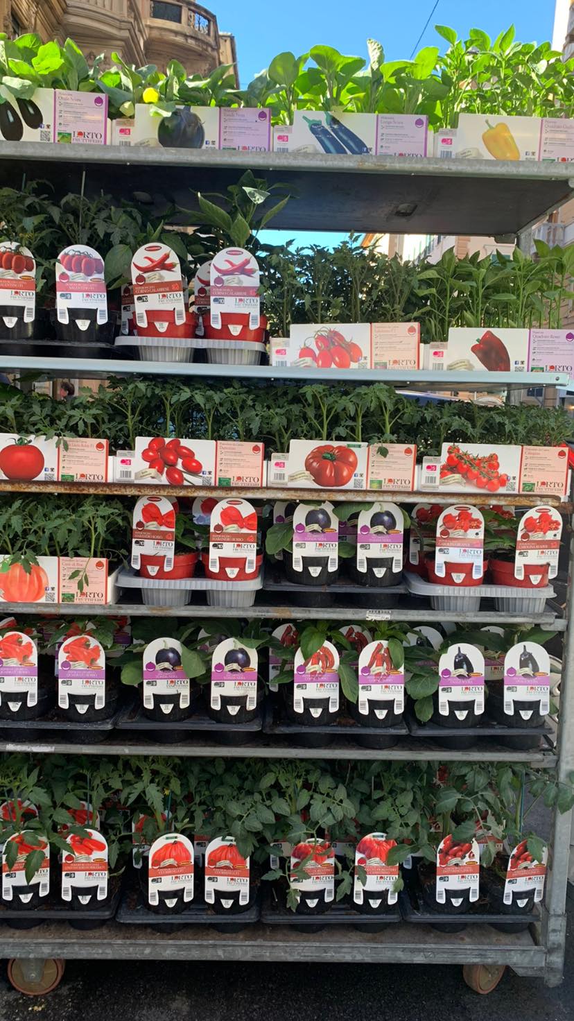 vendita sementi e bulbi