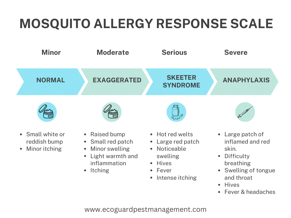 diagram that identifies the symptoms of mosquito bite allergies