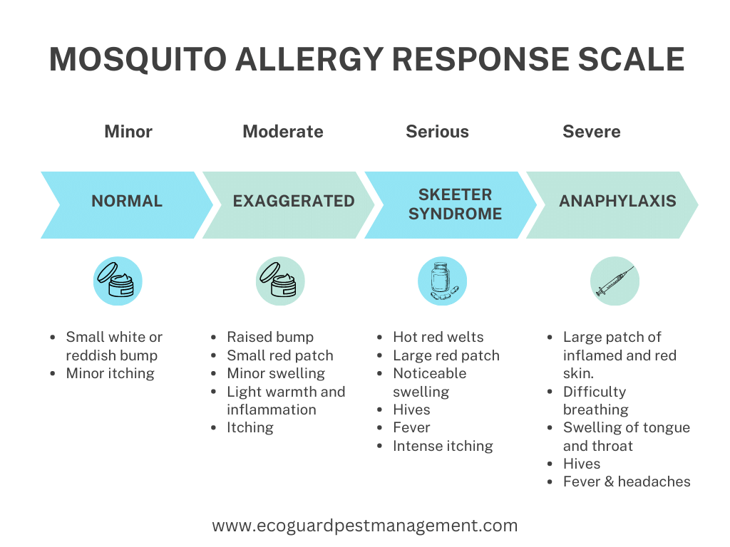 Skeeter Syndrome: Mosquito Bite Allergy Reactions