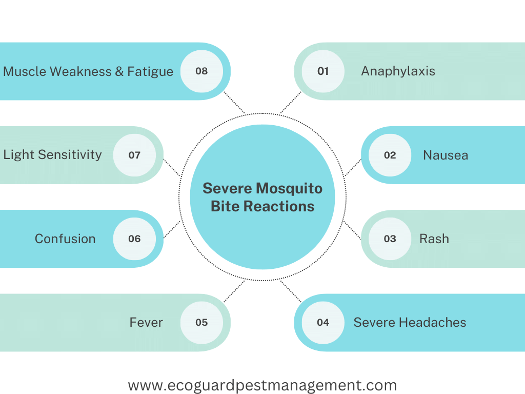 Identifies the most severe reactions to mosquito bites