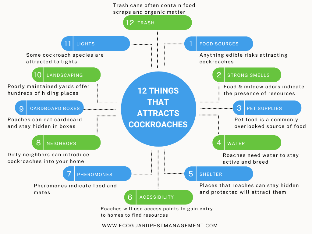 diagram that highlights 12 things that attract cockroaches