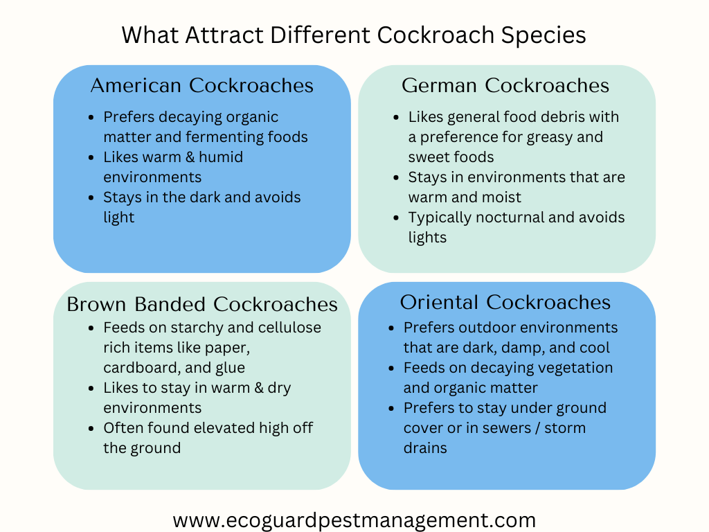 diagram that describes what attracts different common household cockroach species