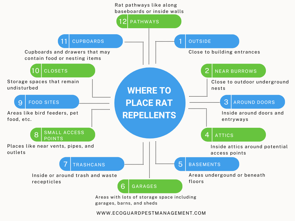 diagram that describes where to place rat repellents