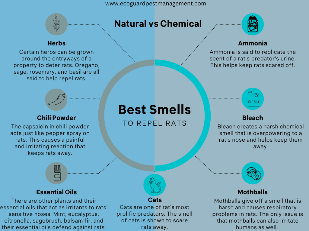 diagram that describes the best smells to repel rats