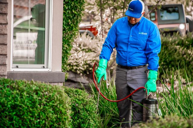 Green Lawns, Safe Homes: Eco-Friendly Pest Control Solutions