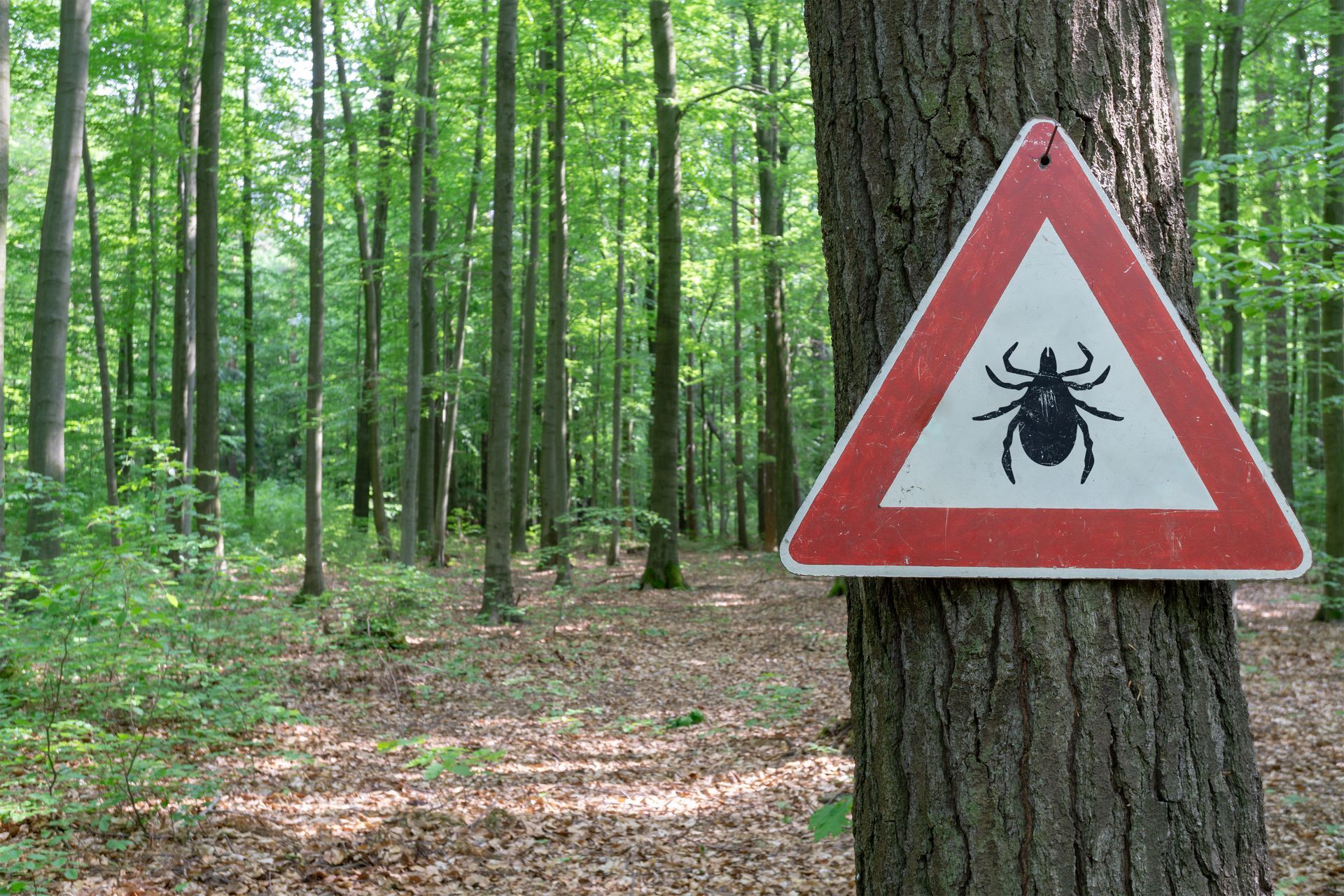 tick warning