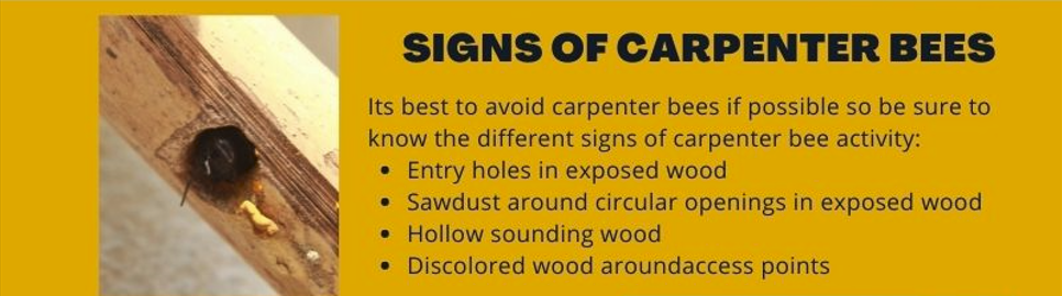 Pay attention for these signs of carpenter bees.