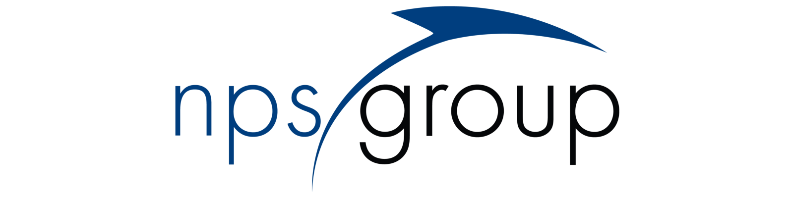 logo of NPS Group