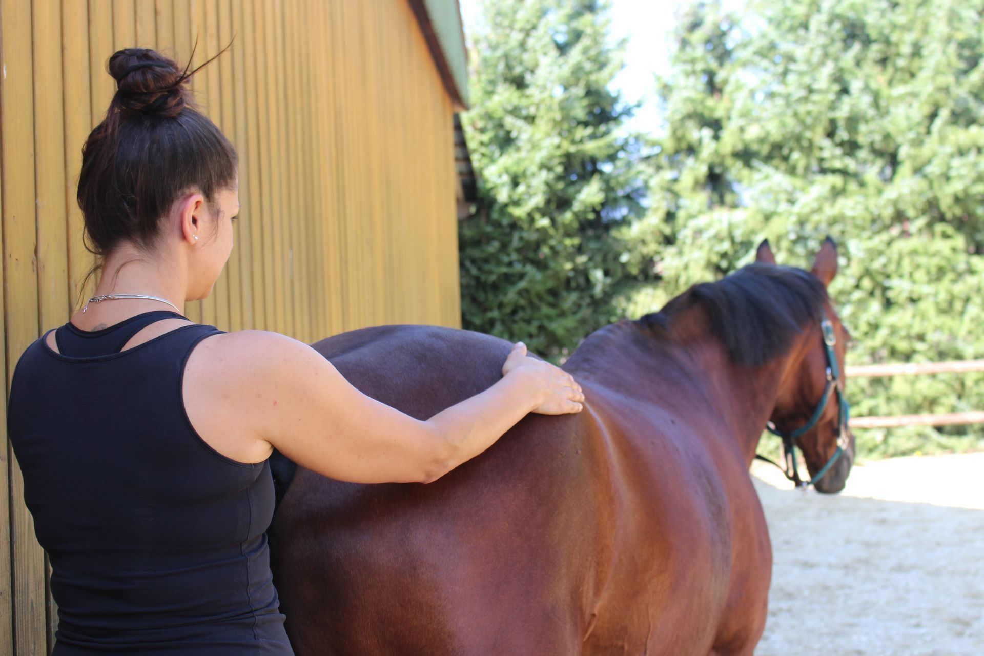 Eine Frau streichelt den Rücken eines braunen Pferdes.