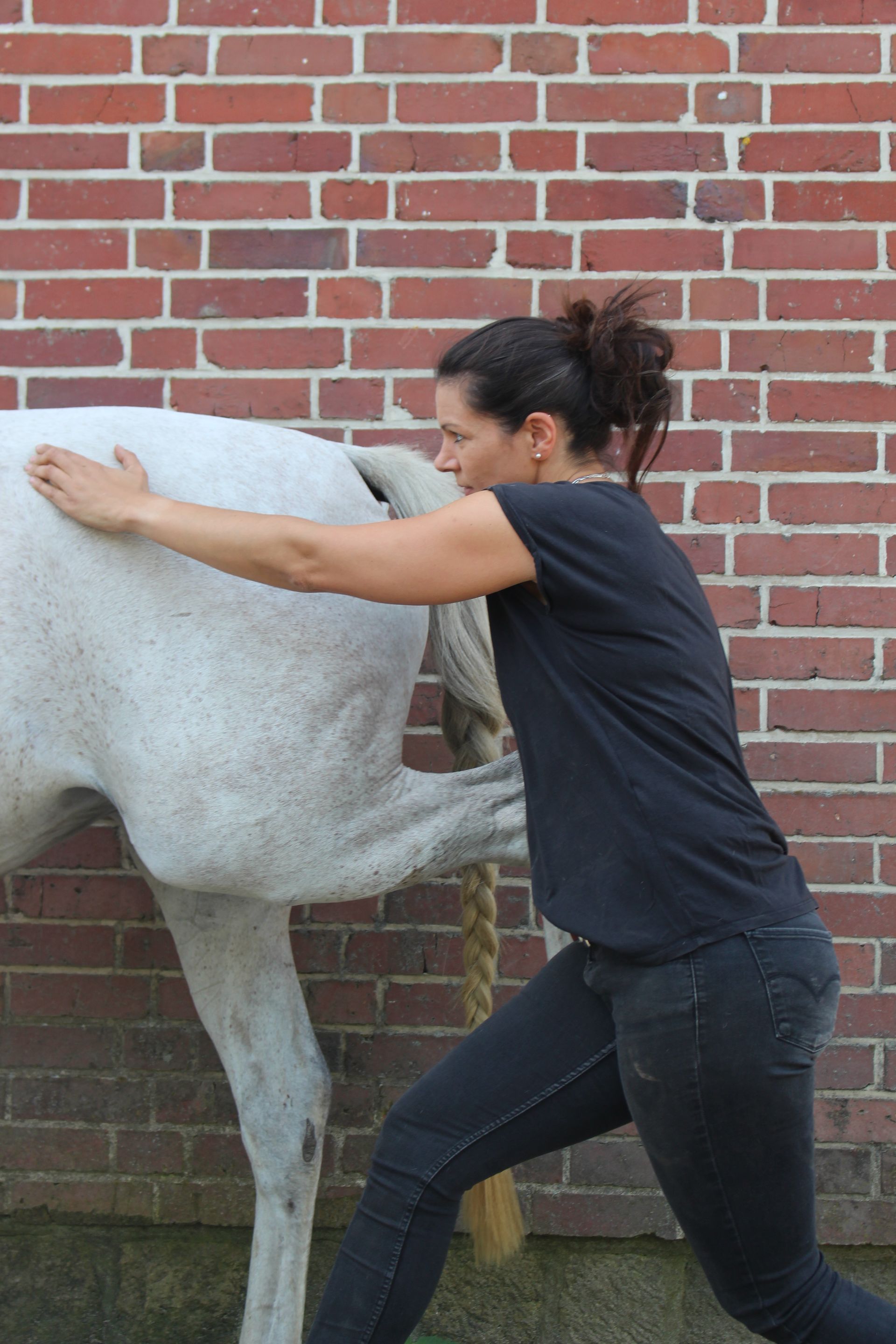 Eine Frau streichelt ein weißes Pferd vor einer Backsteinmauer.