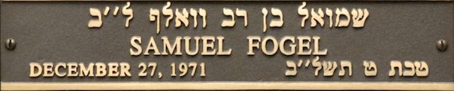 Samuel Fogel