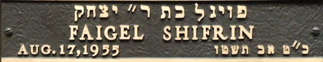 Faigel Shifrin