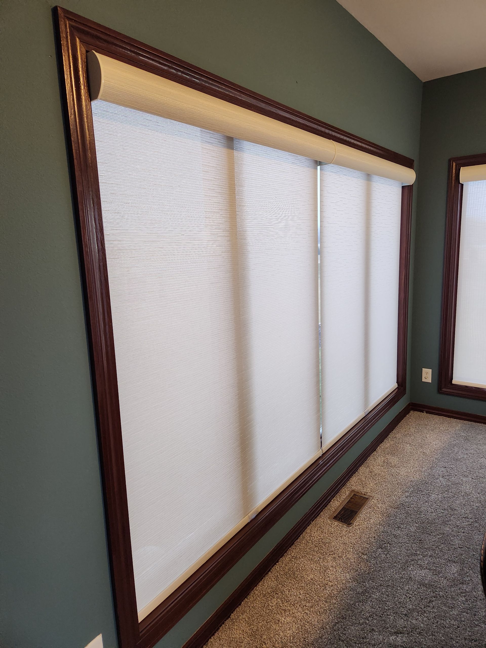 Dark-framed window with white mesh roller shades against a teal wall. The room has a gray carpet.