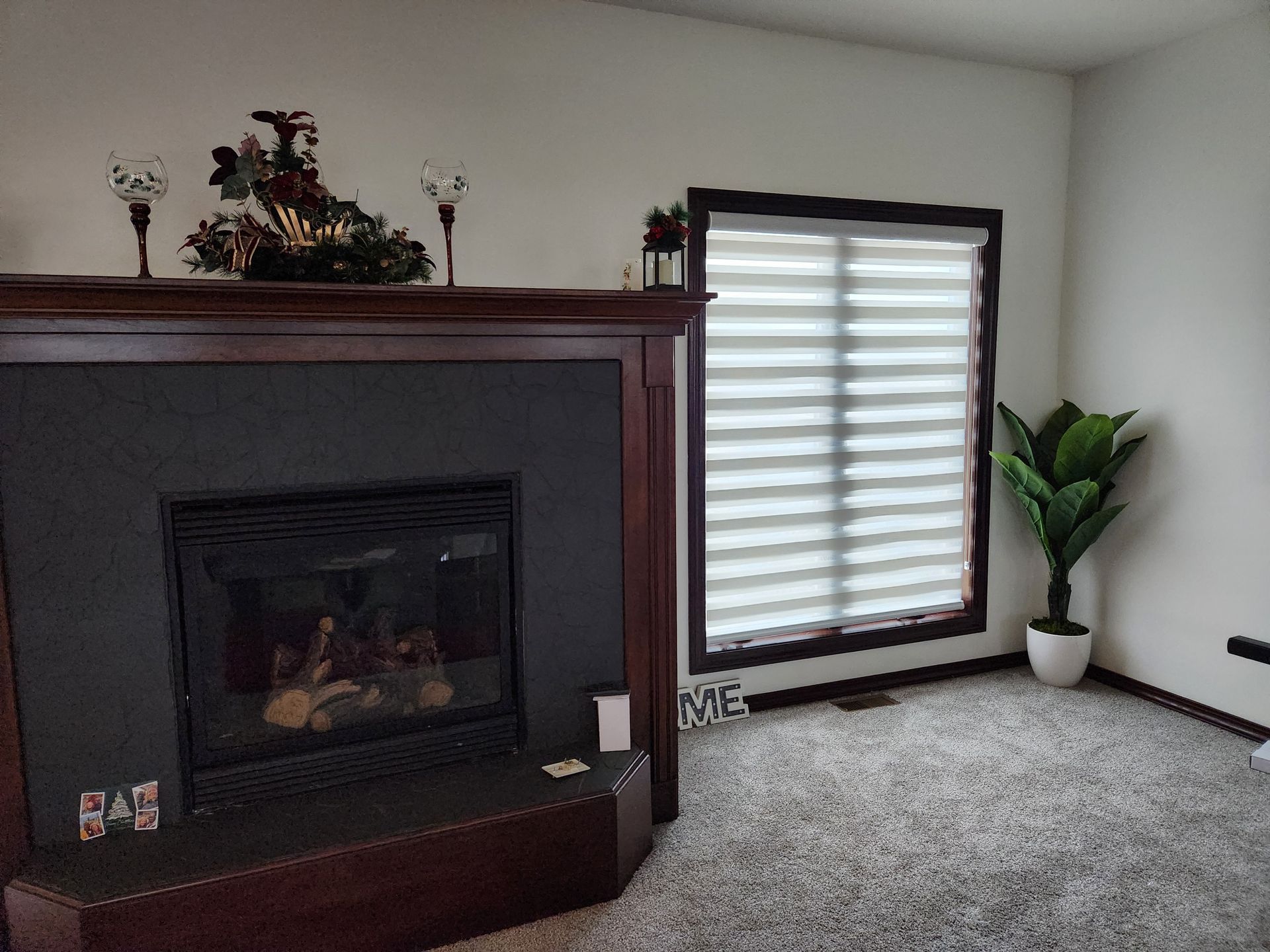 Living room with fireplace, window with shades, and a potted plant on carpet.