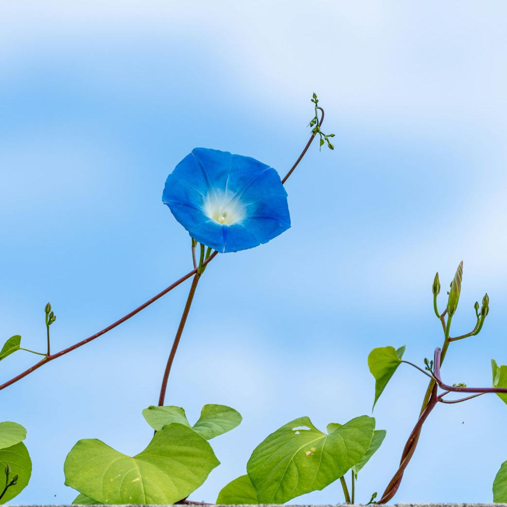 A living room with a stone fireplace and a ceiling fan