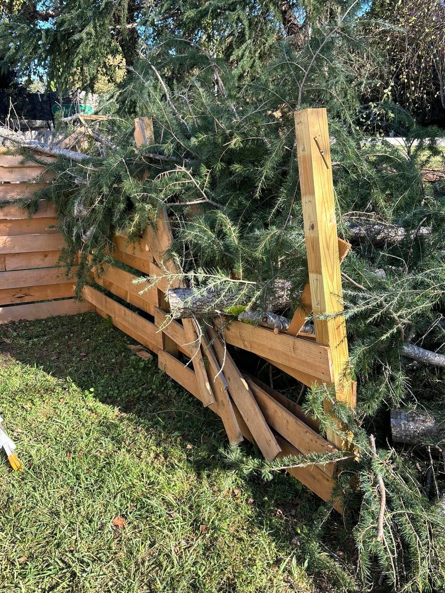 Damaged wooden fence with tree branches overhanging, outdoors on a lawn. Broken wooden planks are scattered.