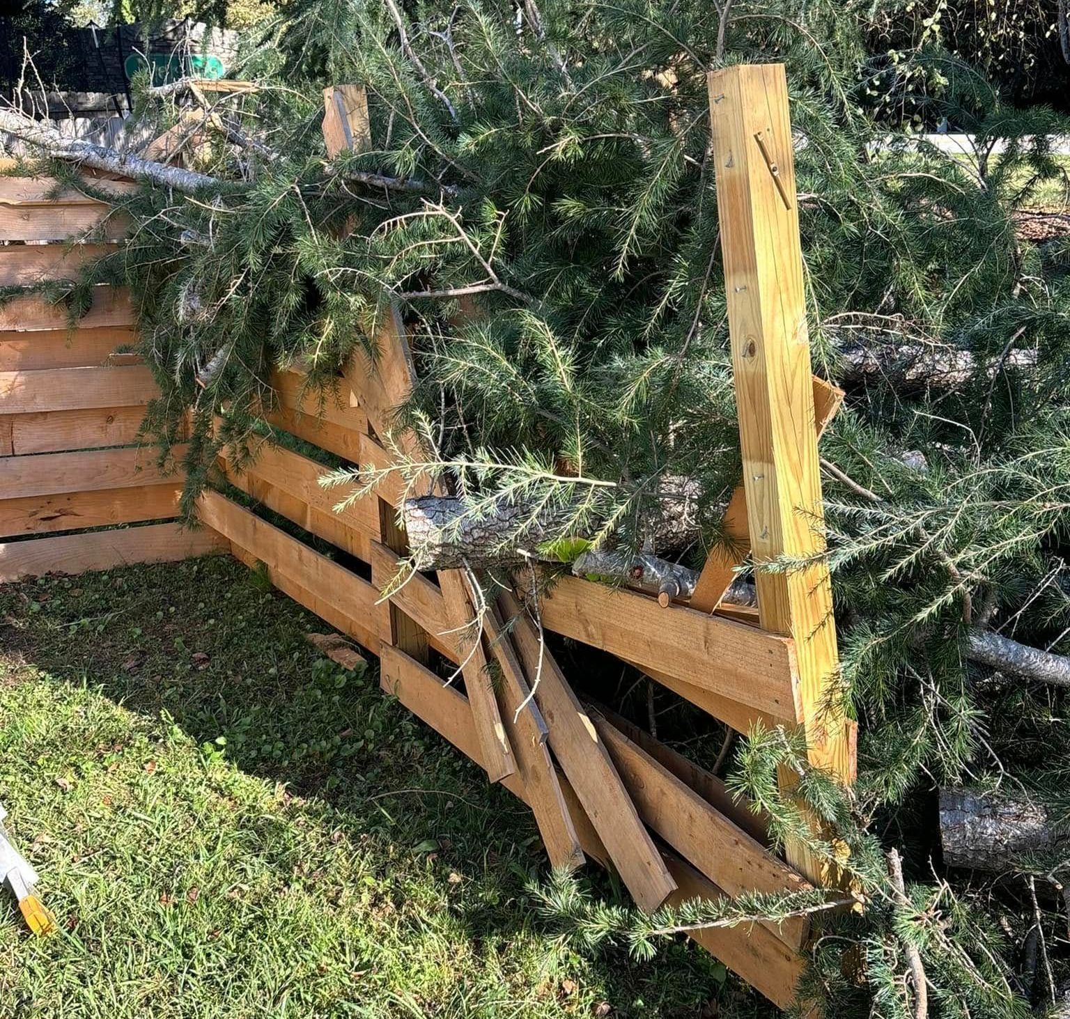 A makeshift wooden structure with green branches, possibly a barrier in a grassy area.