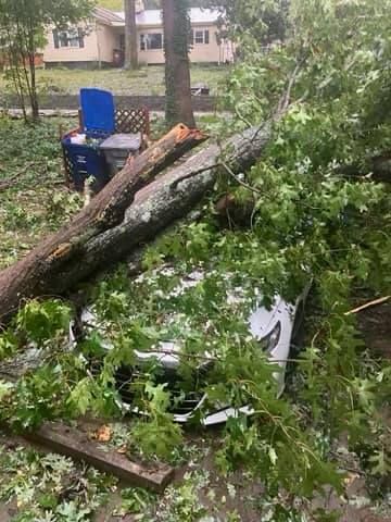 A car crushed by a fallen tree in a residential area. Debris and green leaves surround the white vehicle.