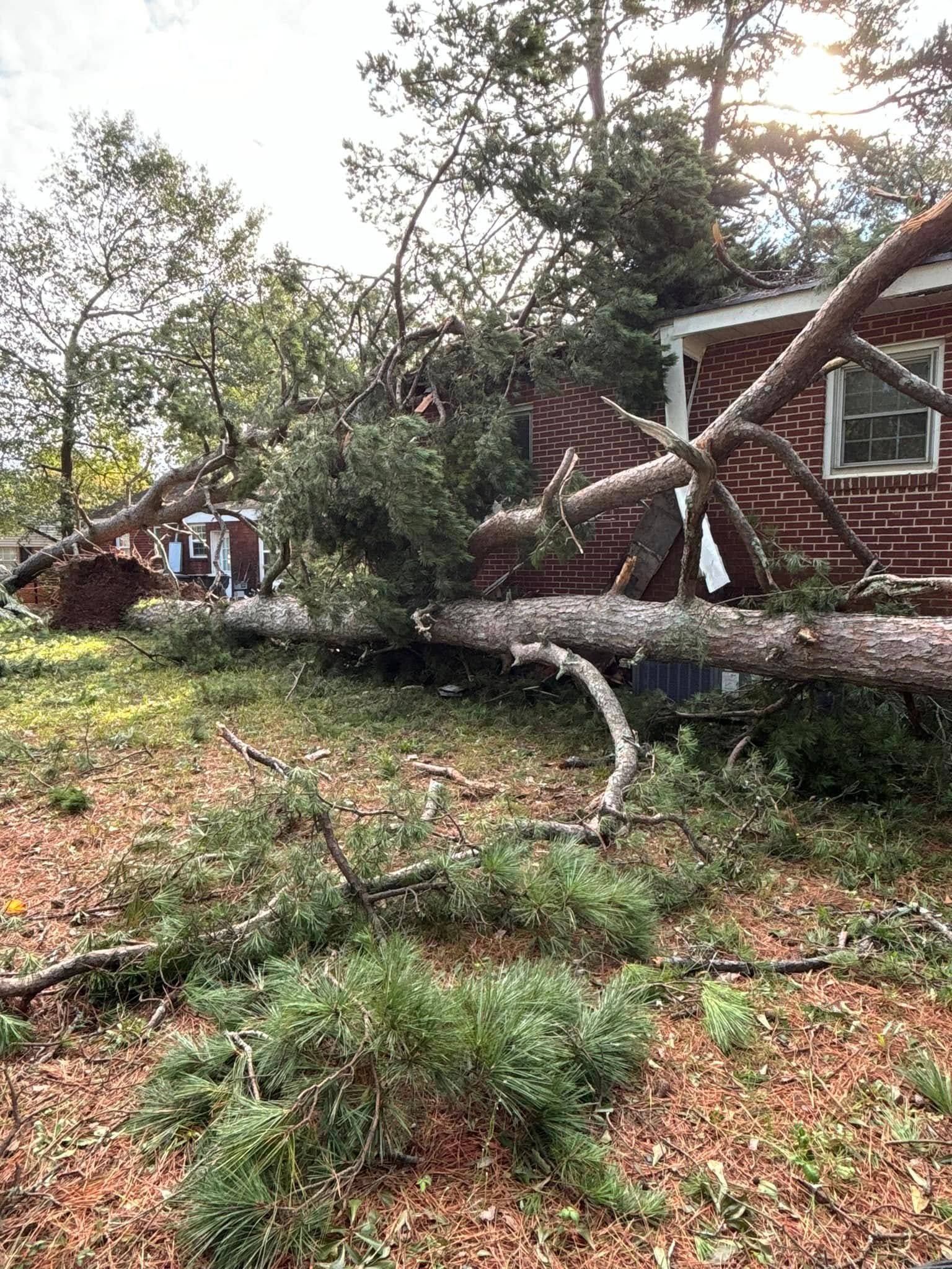 A large tree fallen across a red brick house, limbs and debris scattered on the ground in a yard.
