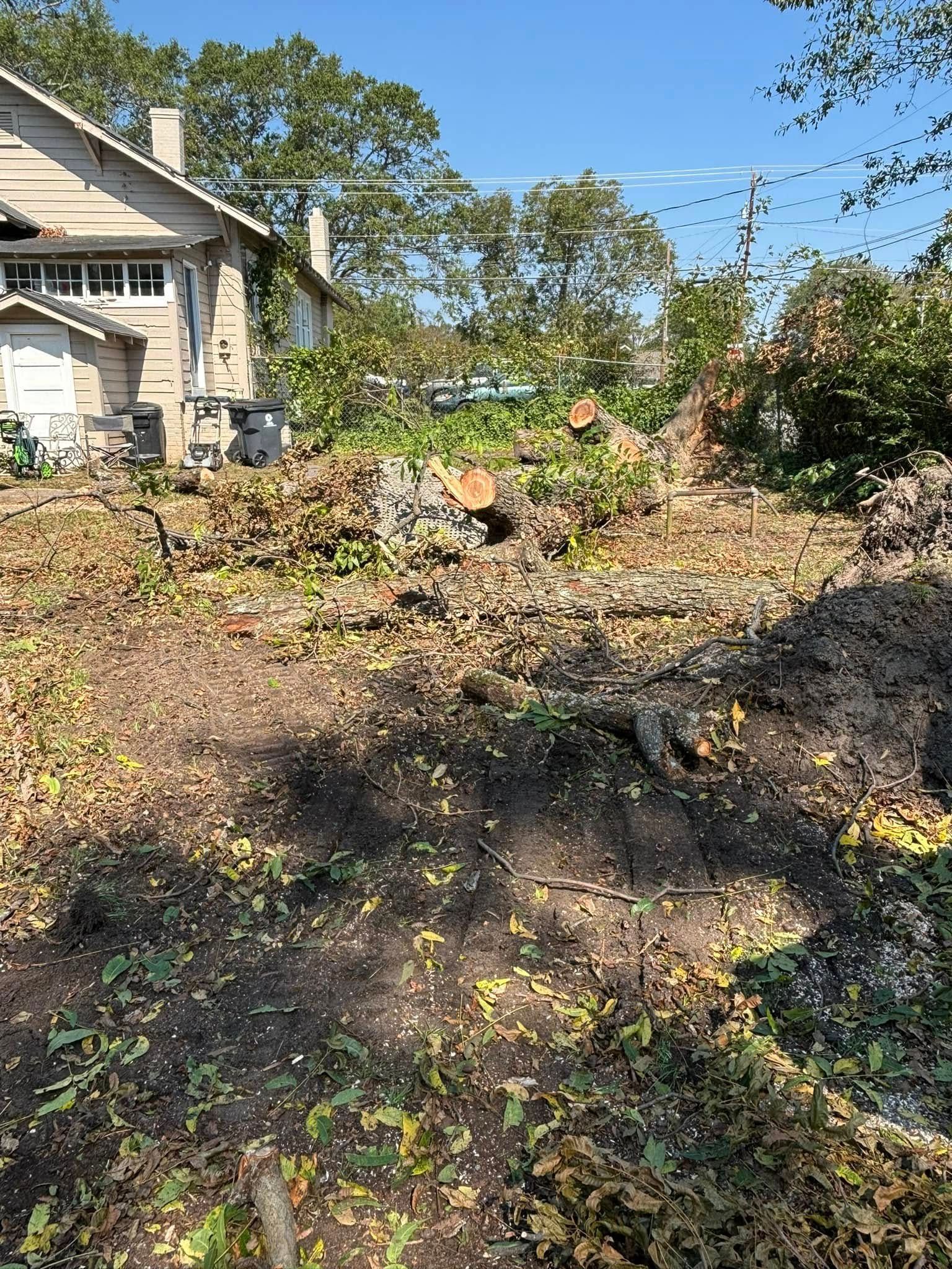 A cleared backyard after tree removal; featuring dirt, wood debris, a building, and a sunny sky.
