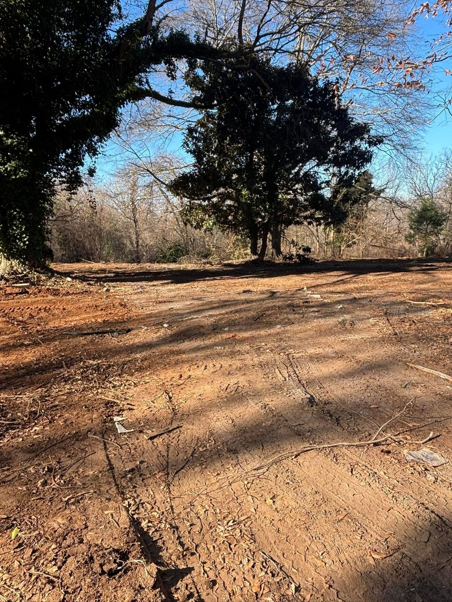 A sunny, brown dirt path leading into a wooded area with bare trees and green foliage.
