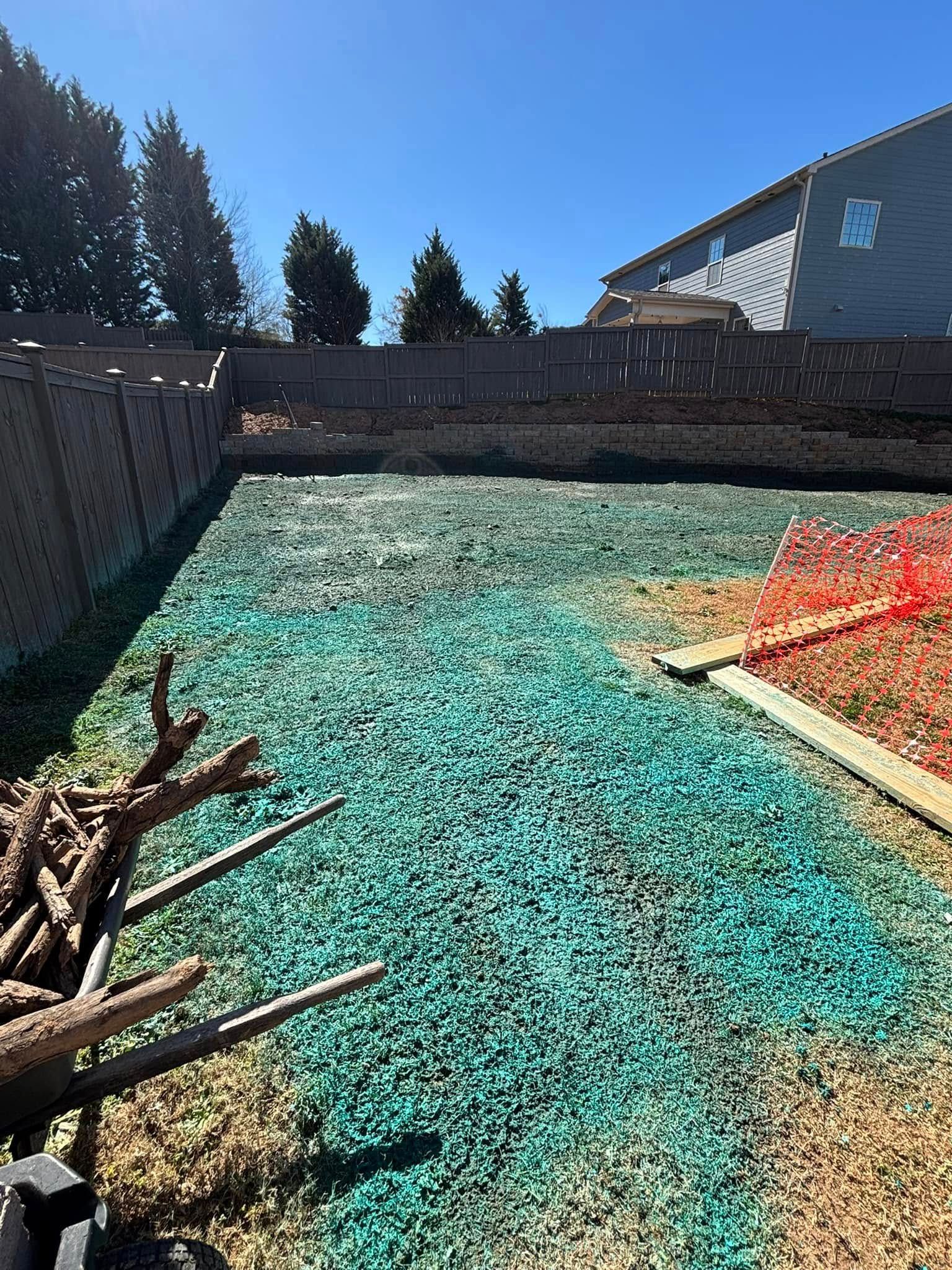A backyard lawn covered in green seed, partially fenced, under a clear blue sky. Some branches are in the lower left corner.