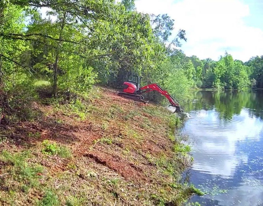 Red excavator clearing vegetation along the edge of a body of water surrounded by trees. Sunny day.