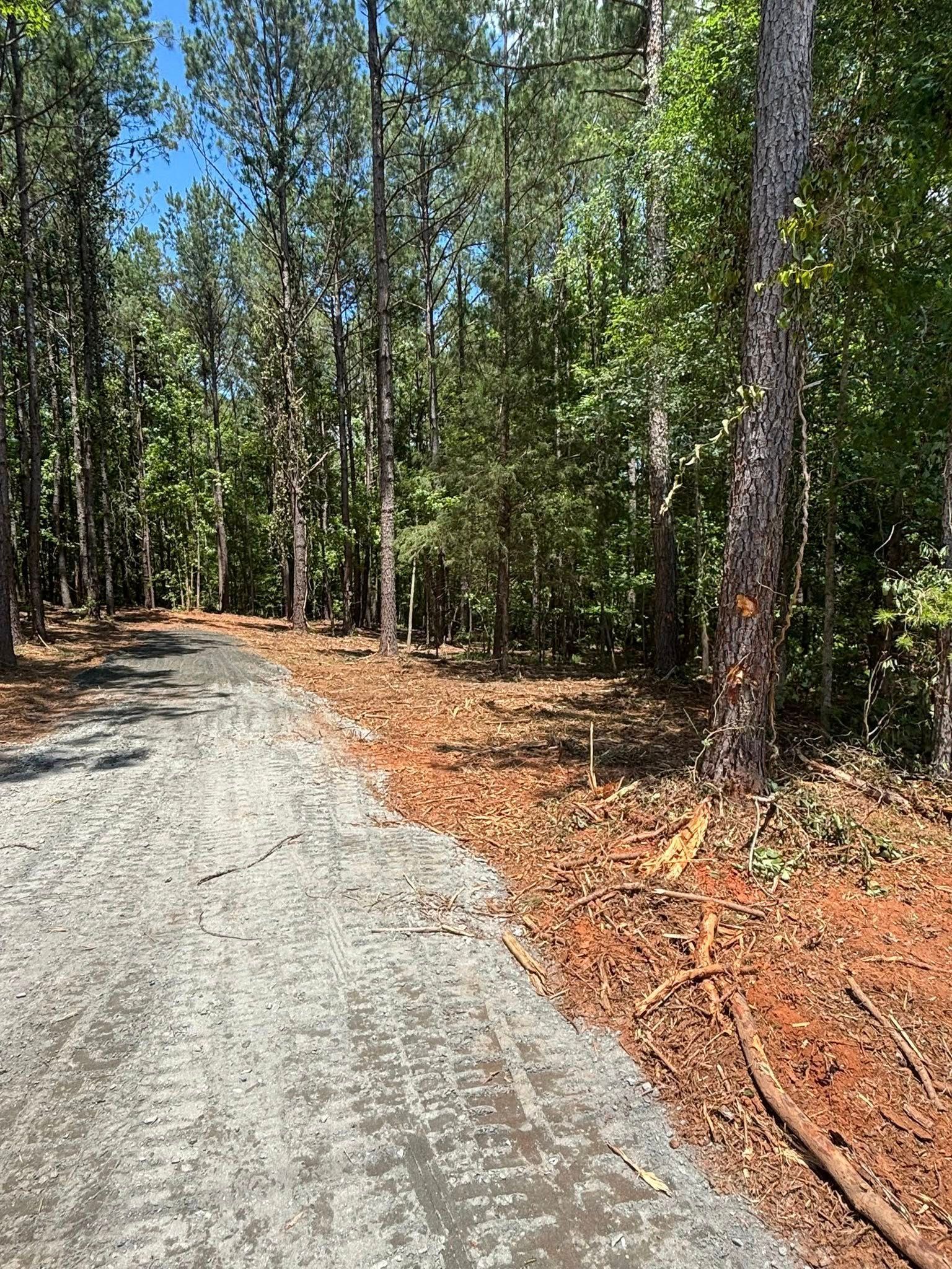A gravel road winds through a wooded area, with freshly cleared land to the right, under a bright blue sky.