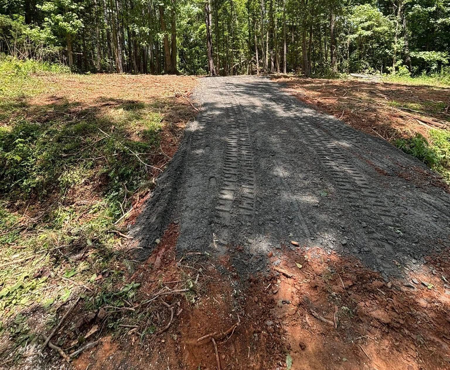 A gravel driveway leads into a forest with tall trees under a bright blue sky.