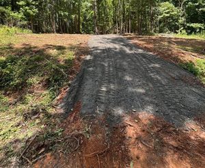 A gravel driveway leads into a forest with tall trees under a bright blue sky.