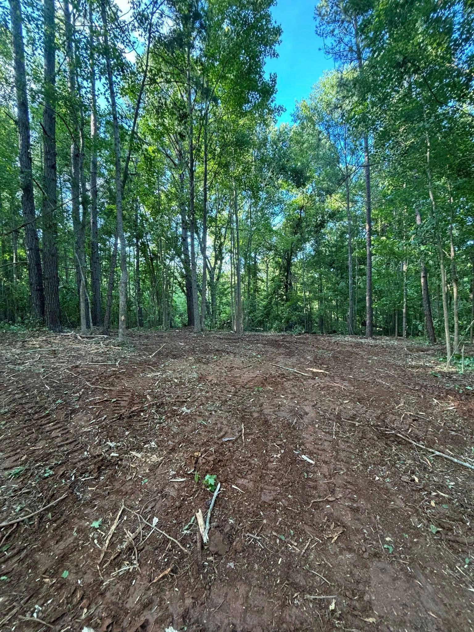 Cleared dirt area in front of a forest of green trees under a bright blue sky.