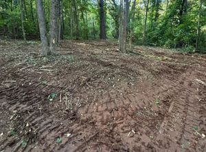Muddy ground with tire tracks in a forest clearing, surrounded by trees and dappled sunlight.