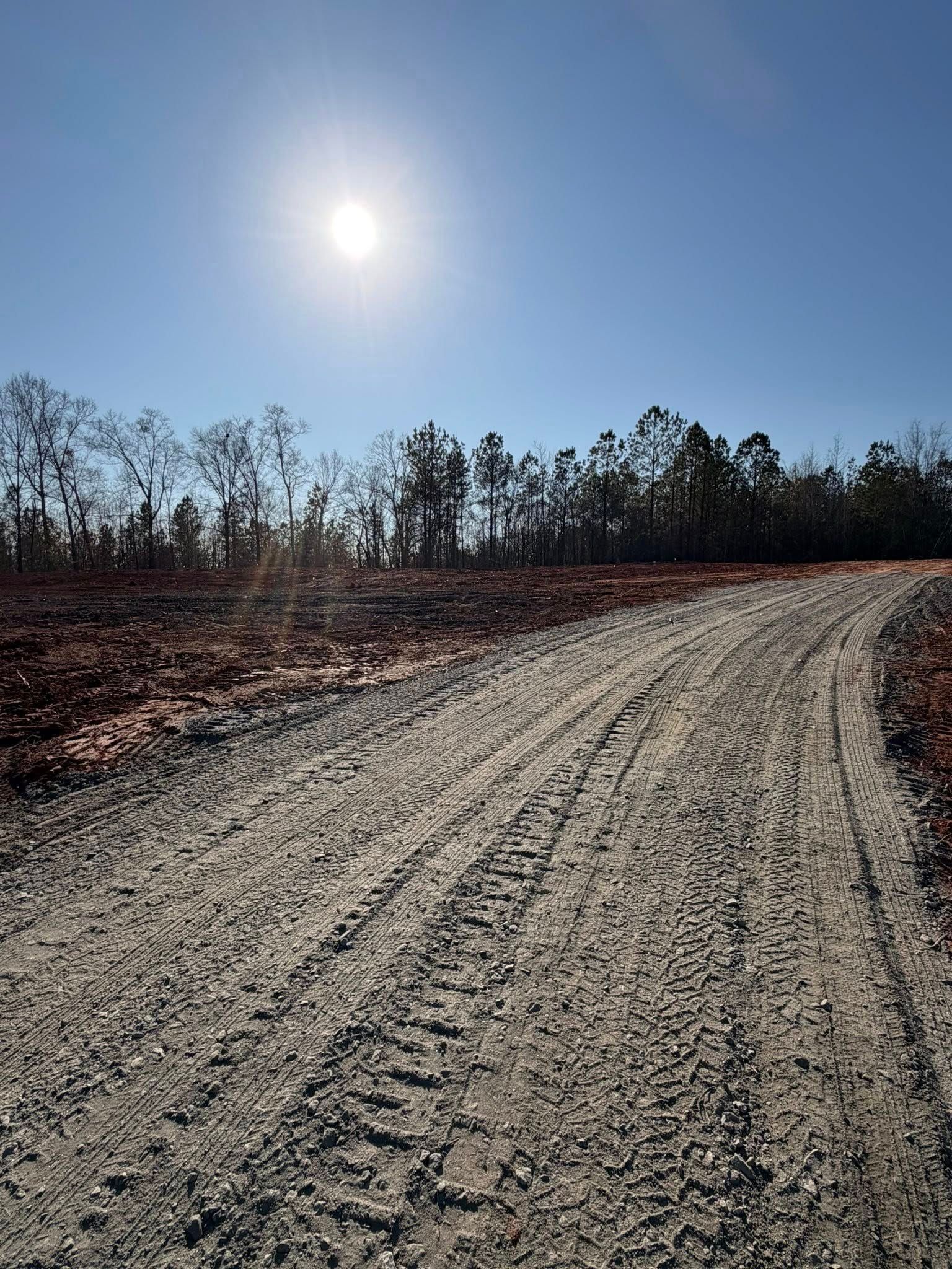 A large tree lies on the ground, with branches and leaves scattered on the grass