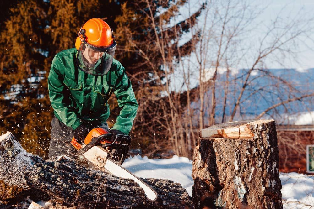 A Man is Cutting a Log With a Chainsaw in the Snow — A Grade Tree Services in Burpengary, QLD